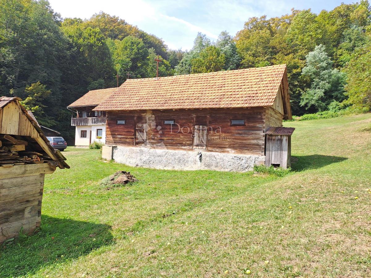 OSTROŽIN