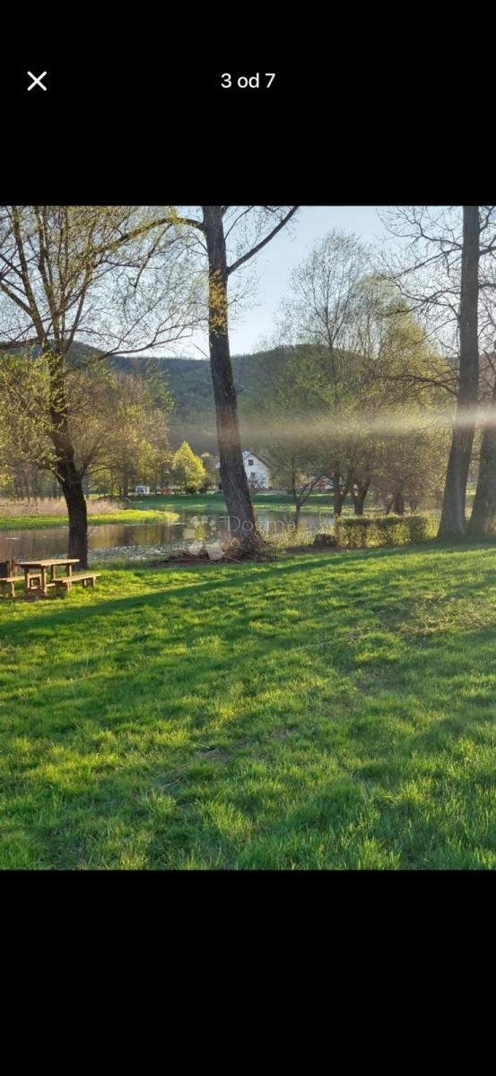 ČOVIĆI