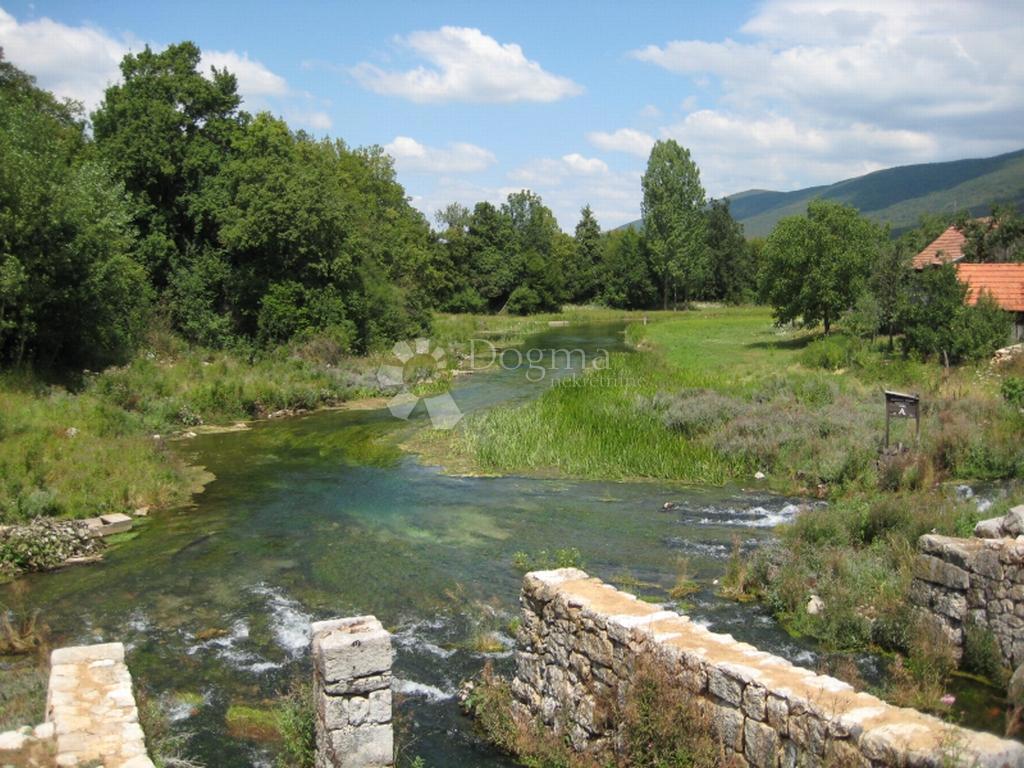 ČOVIĆI