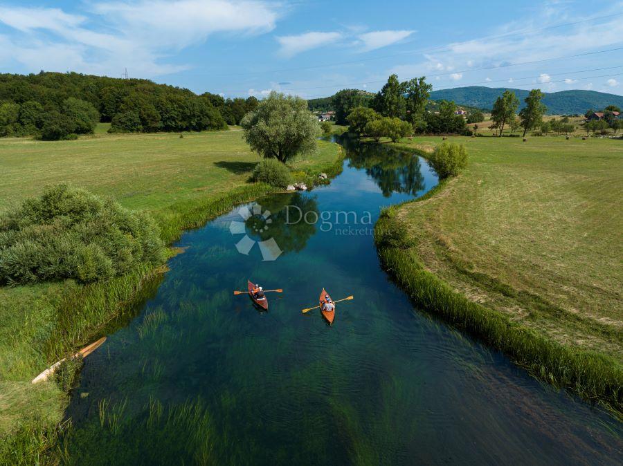 ČOVIĆI