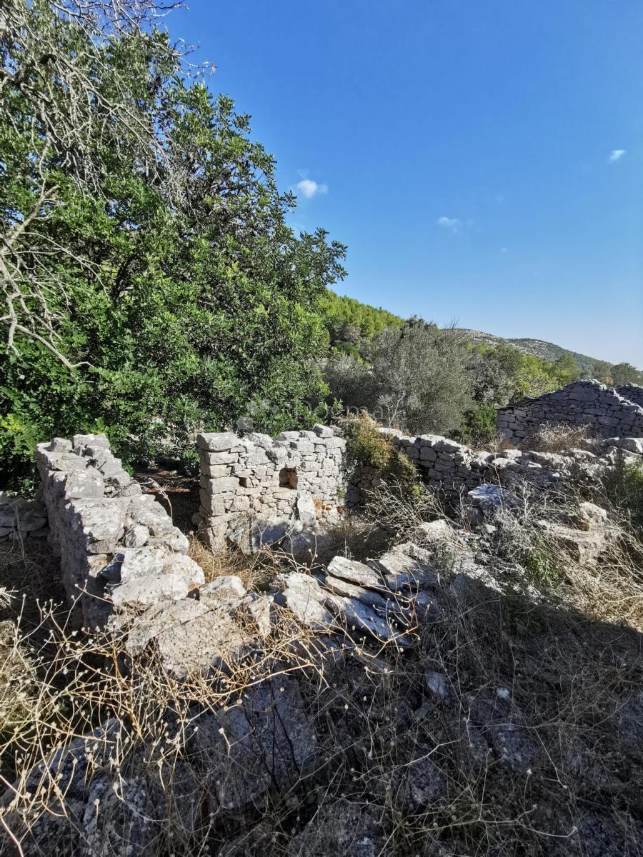 POTIRNA