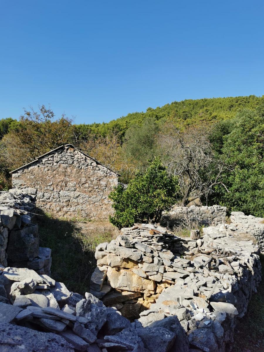 POTIRNA