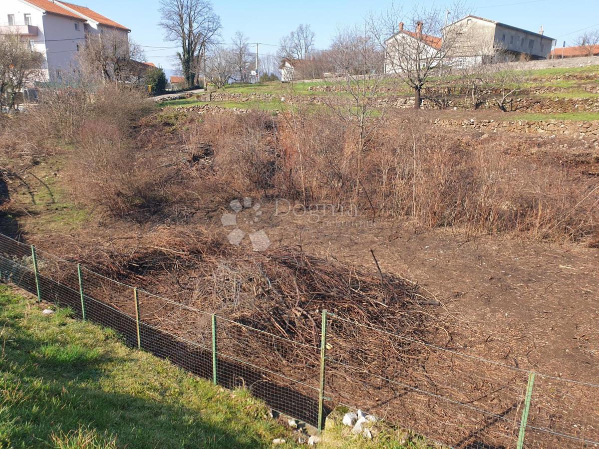 MARČELJI