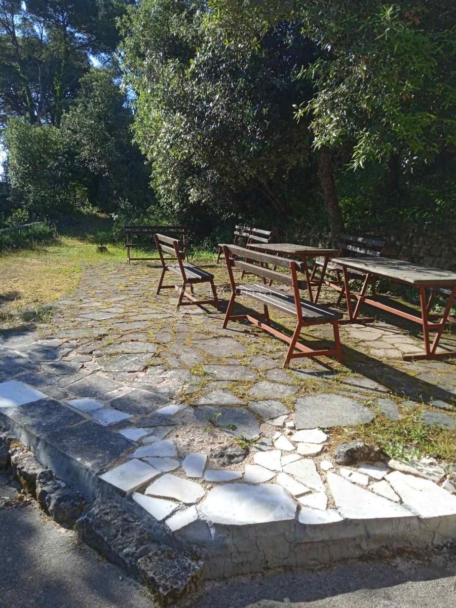 VELI IŽ