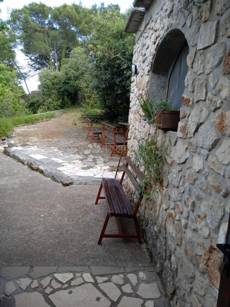 VELI IŽ
