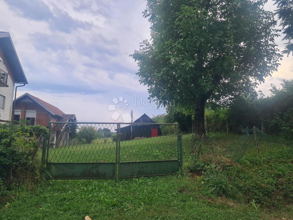 KUPINEČKI KRALJEVEC