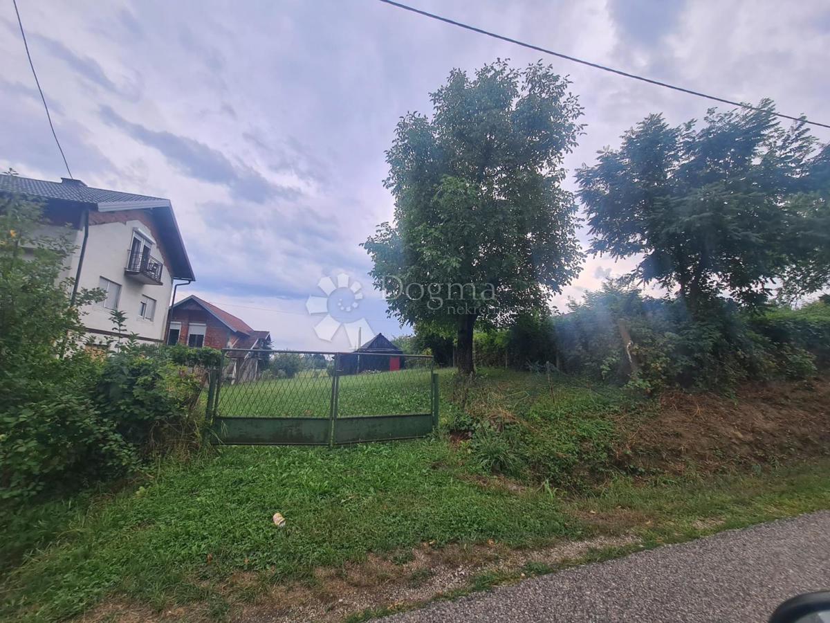 KUPINEČKI KRALJEVEC