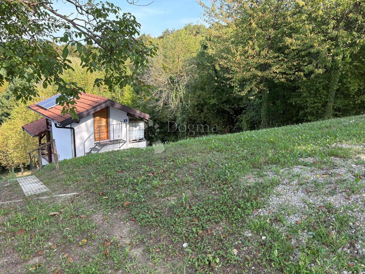image 18