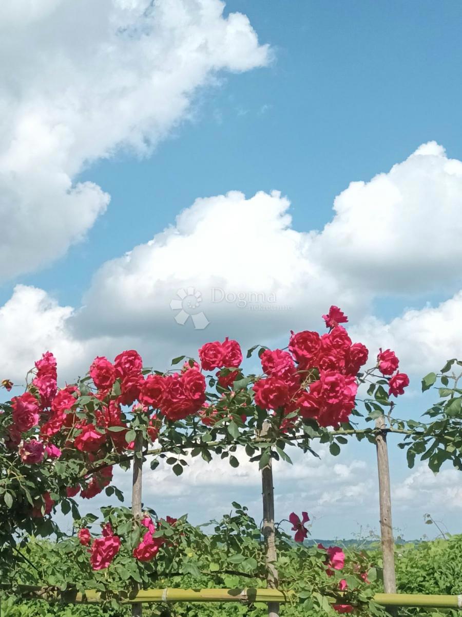 image 30
