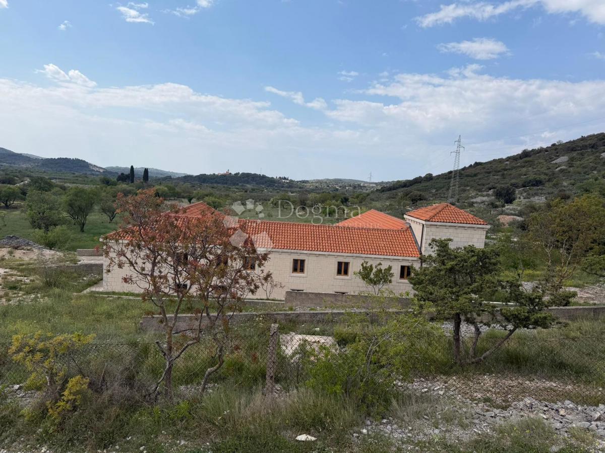 image 36