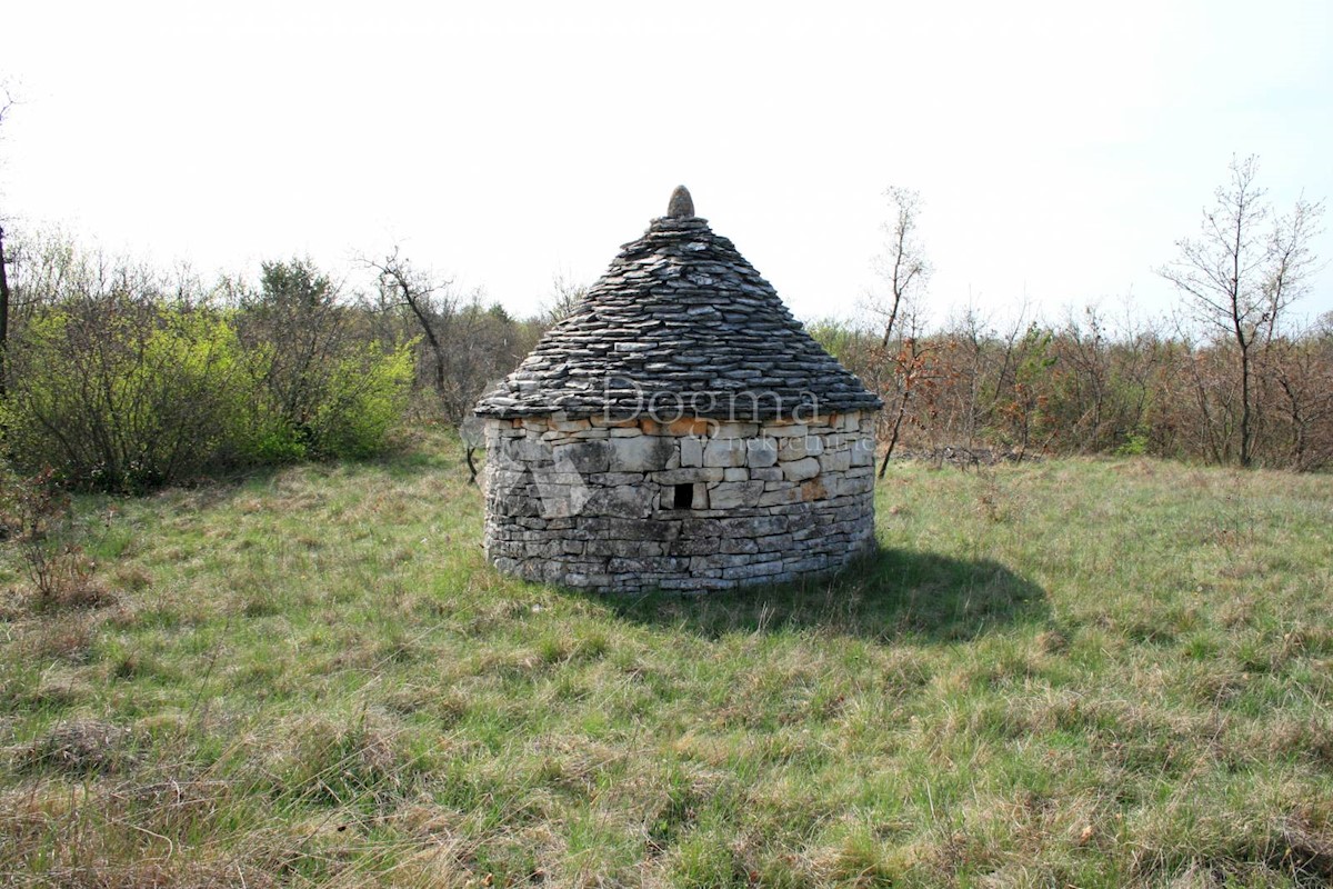 ŠTOKOVCI
