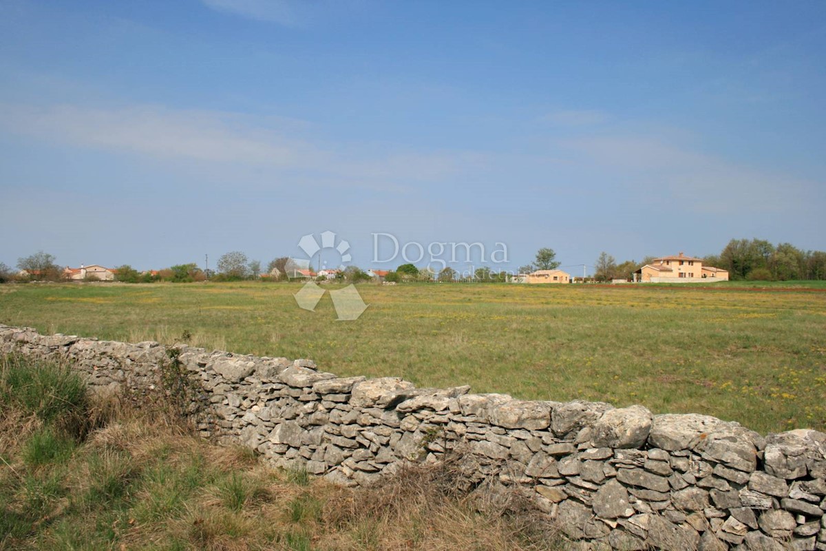 ŠTOKOVCI