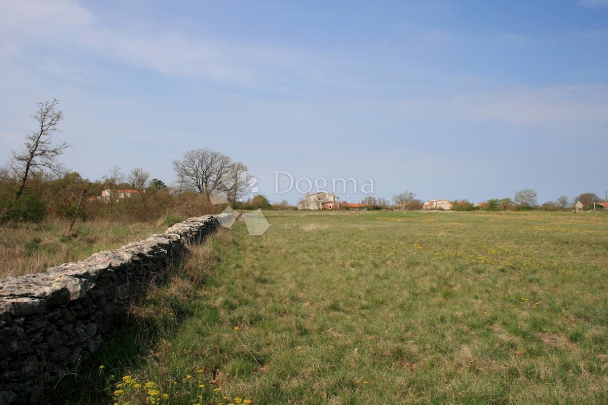 ŠTOKOVCI