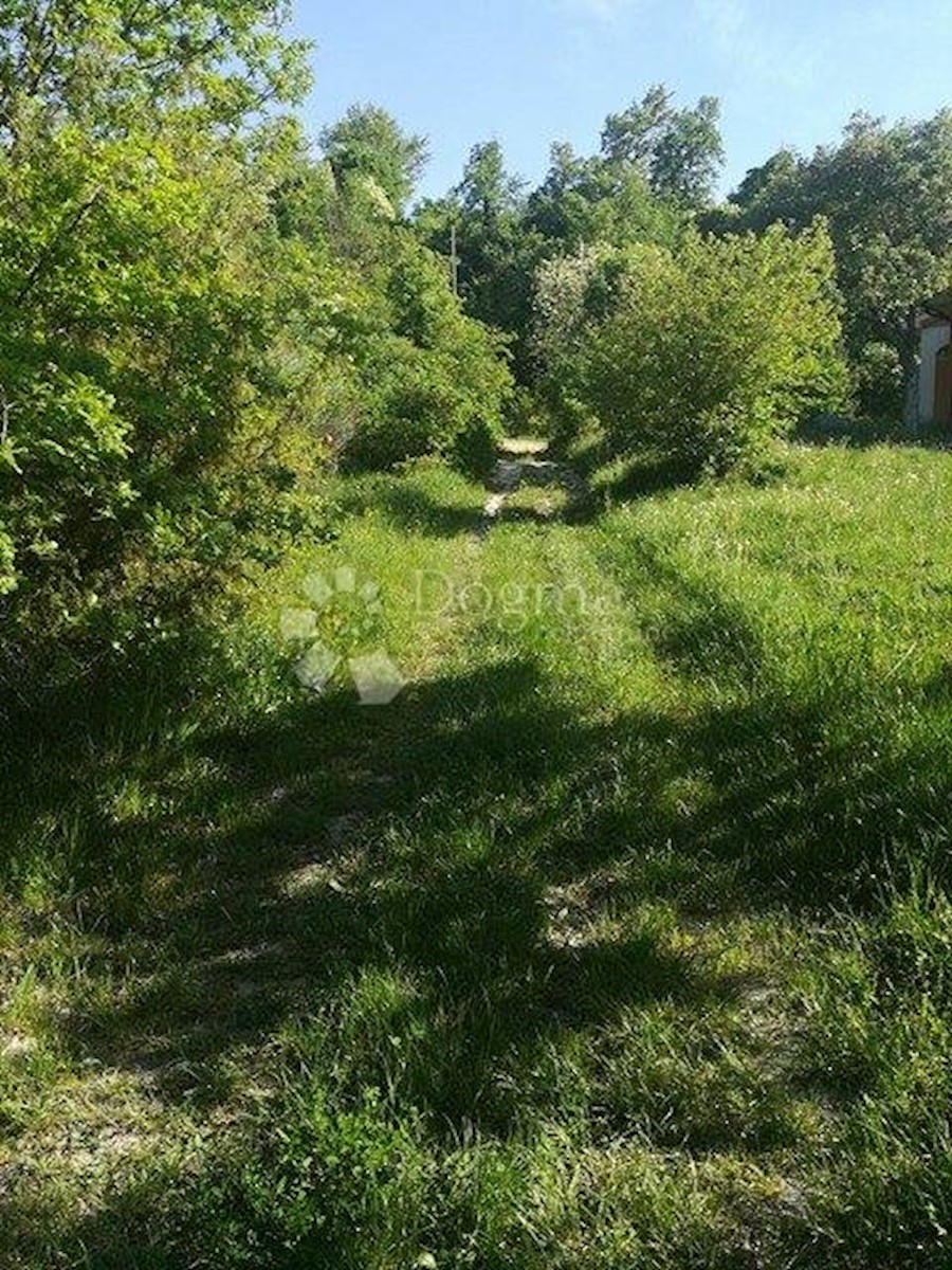 KAPELICA