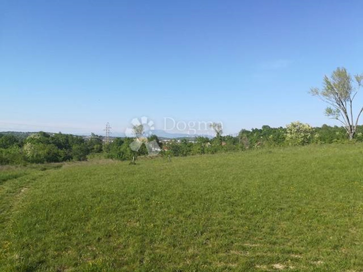 KAPELICA