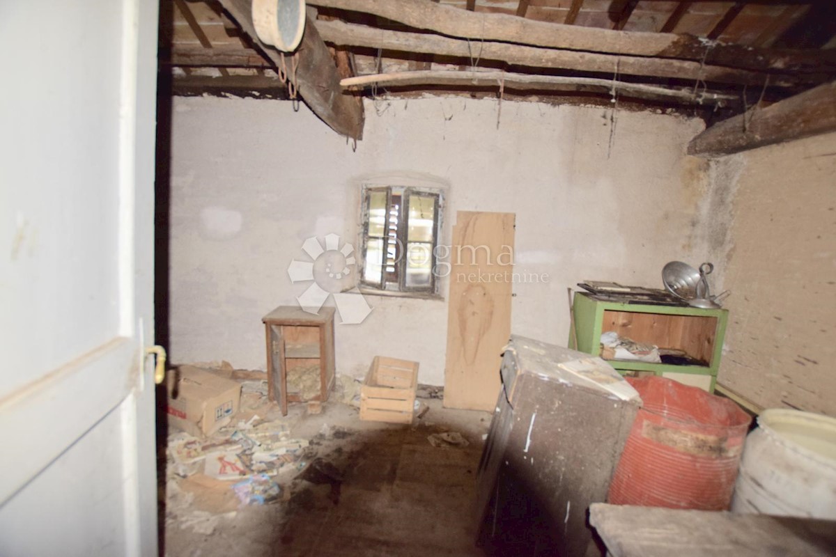 TINJAN