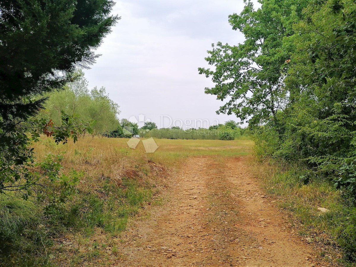 PERUŠKI