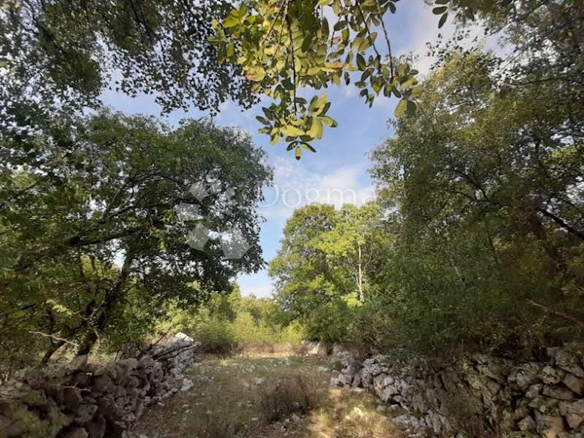 VRBNIK