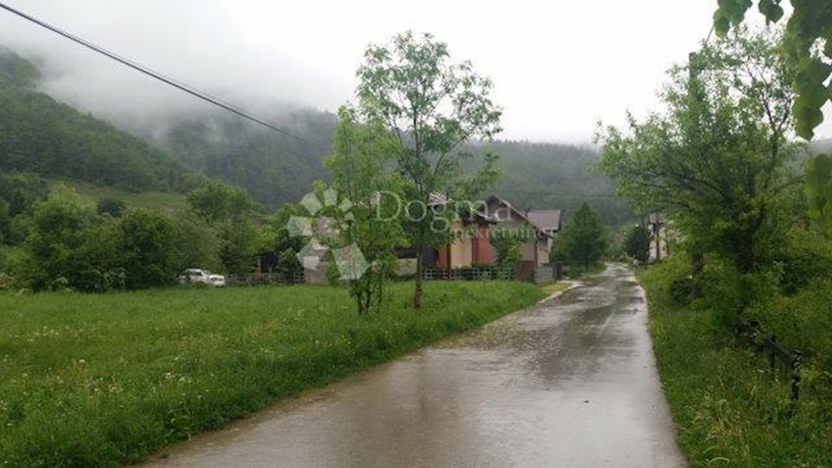 JASENAK
