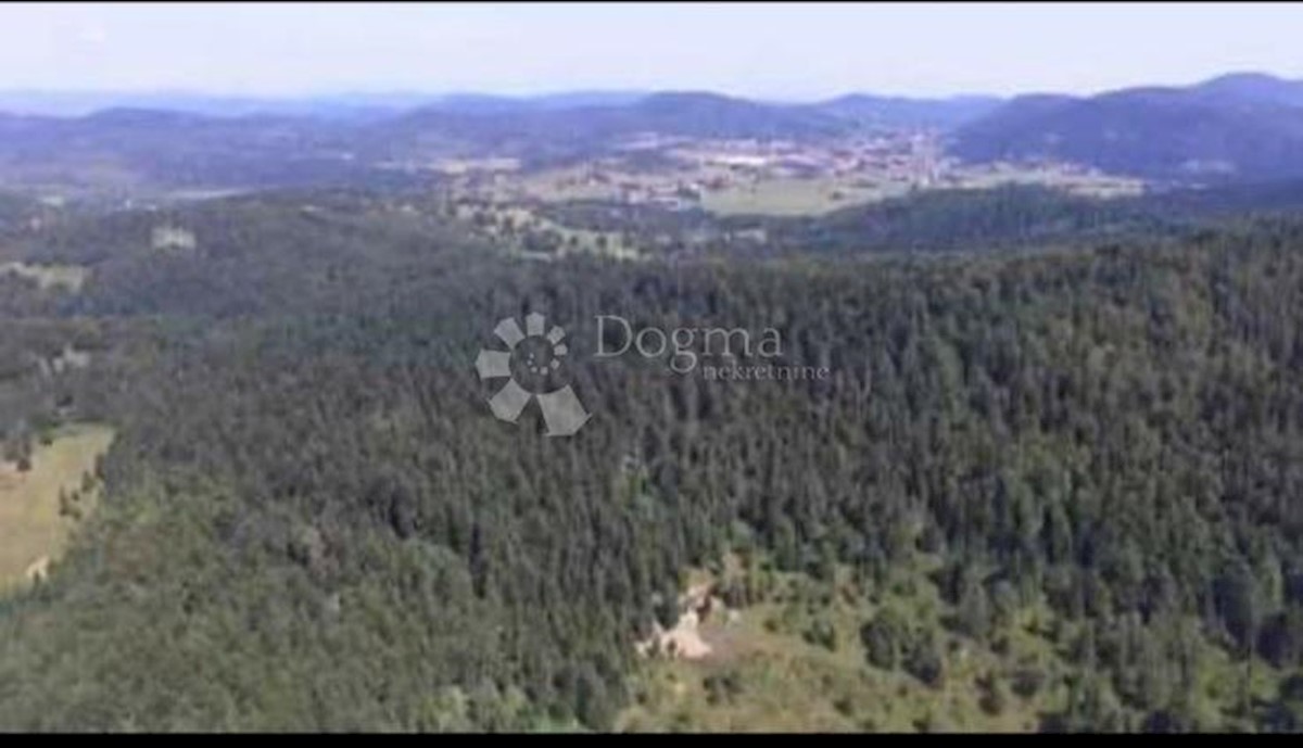 STARI LAZ