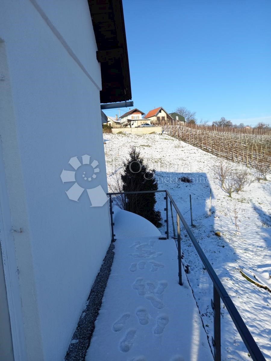 VINICA