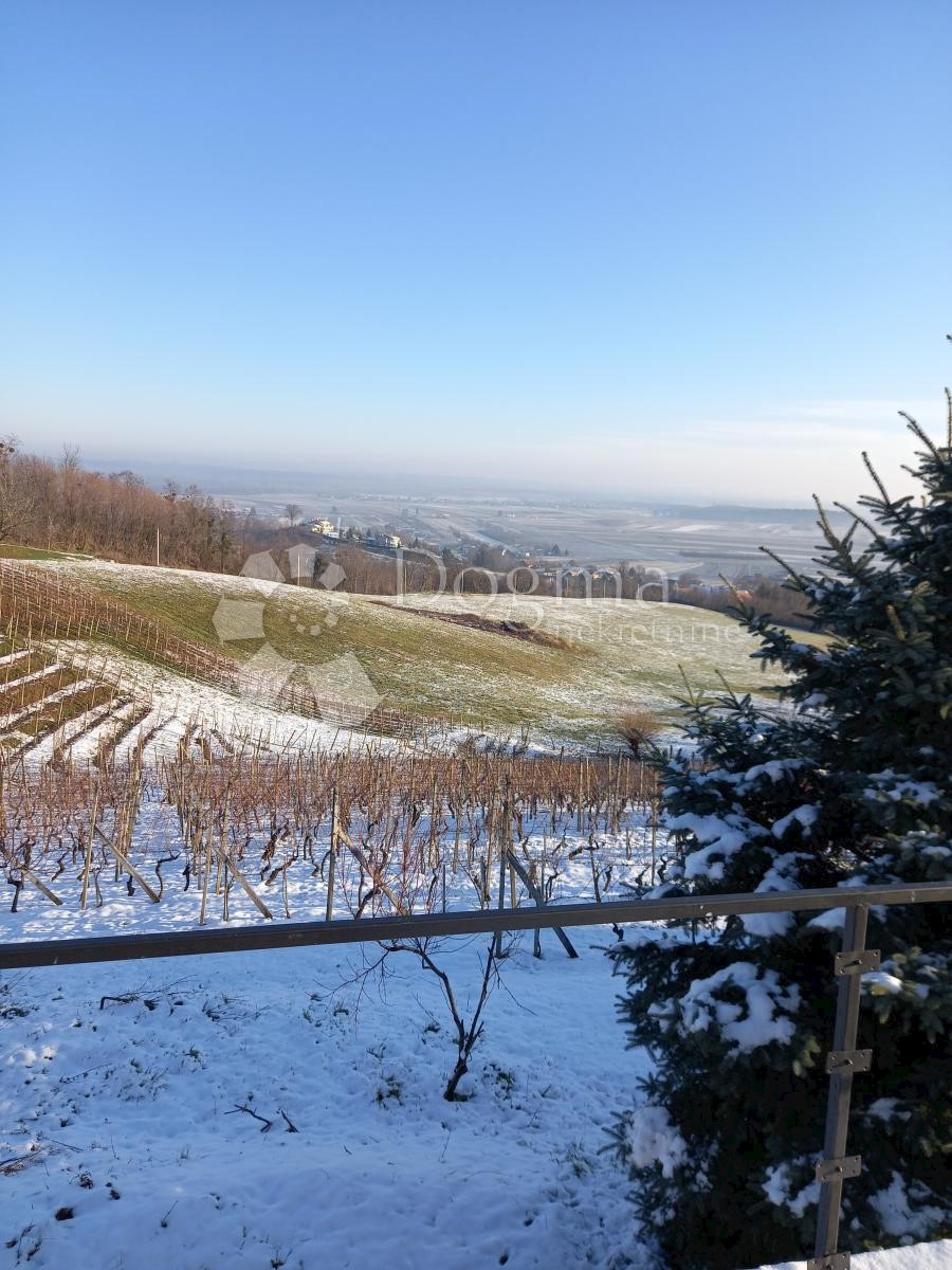 VINICA