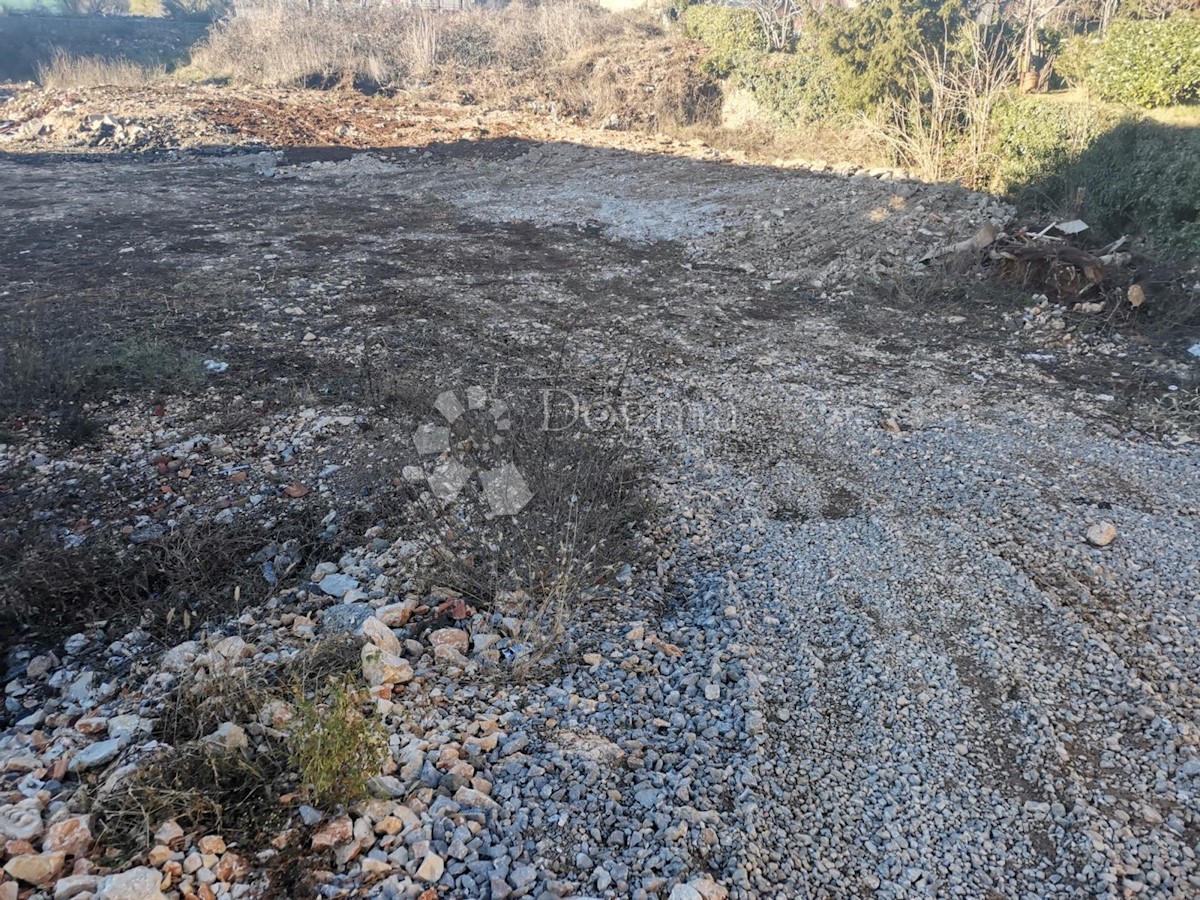 MARINIĆI
