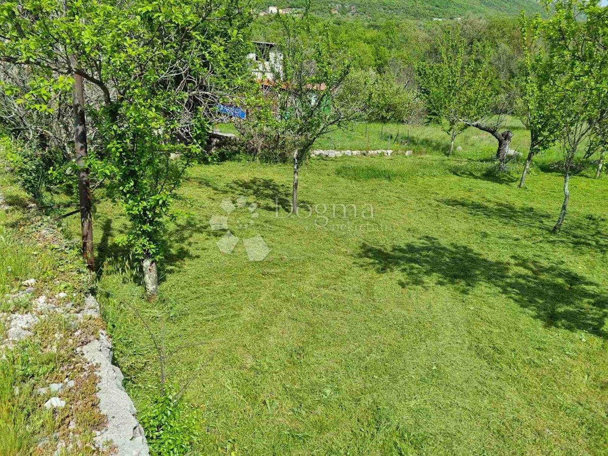 GRIŽANE