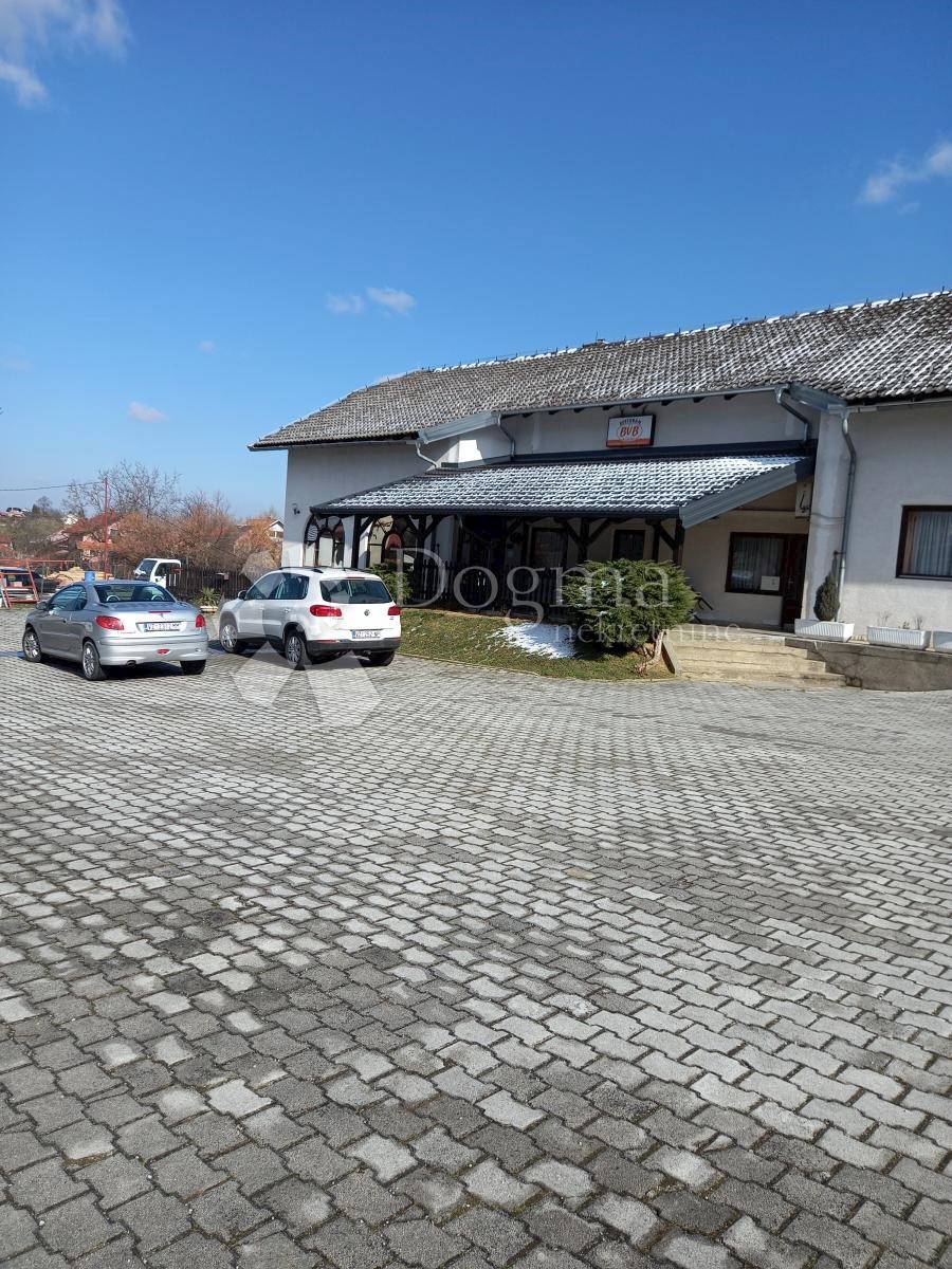 IVANEC