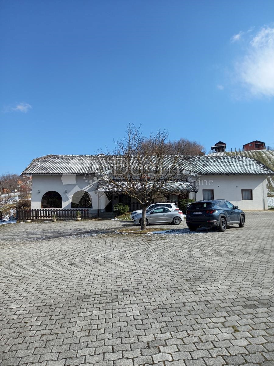 IVANEC