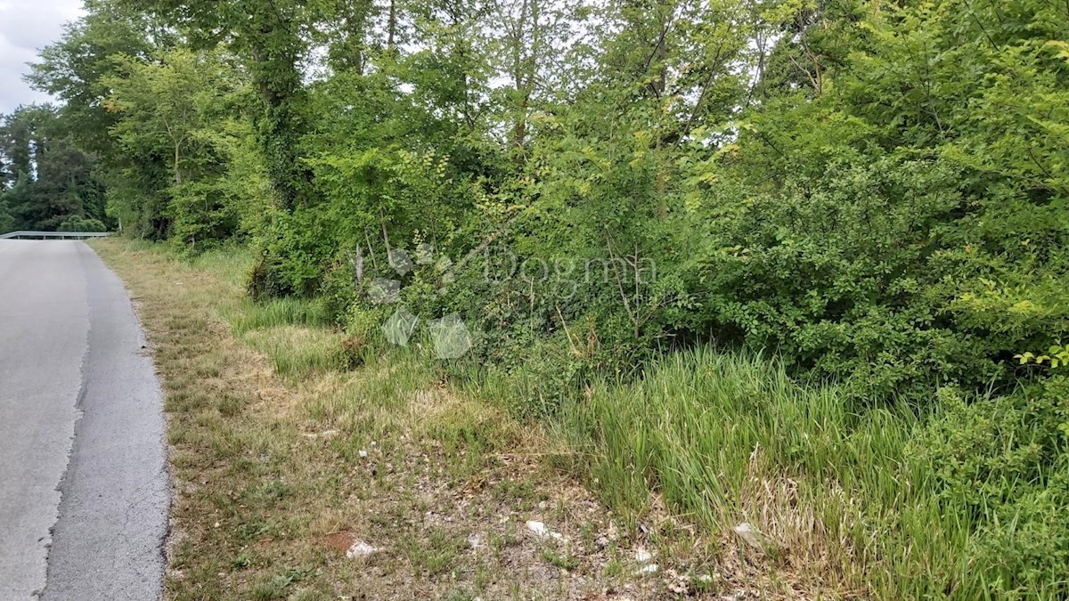 ŽMINJ