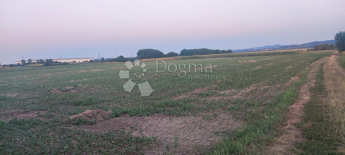 VARAŽDIN
