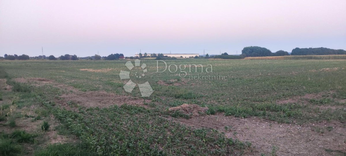 VARAŽDIN