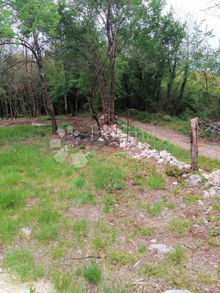 MANJADVORCI
