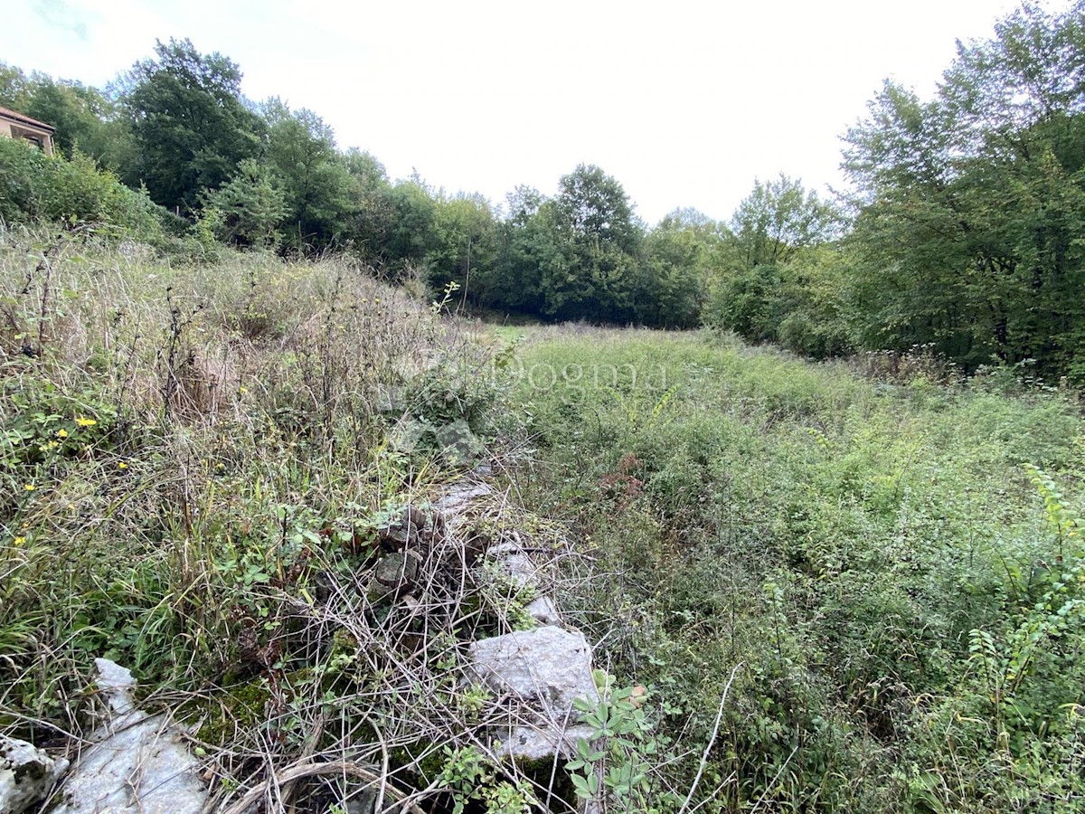 VEPRINAC