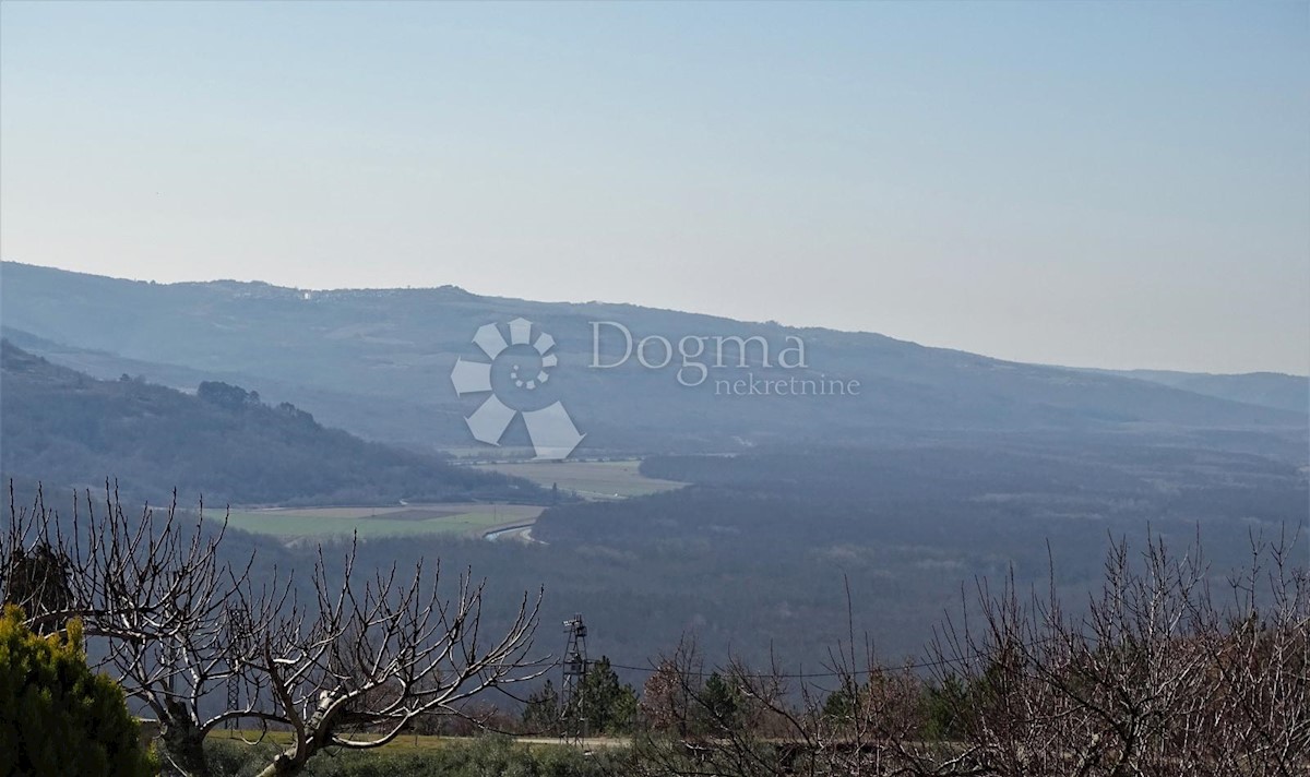 BUZET