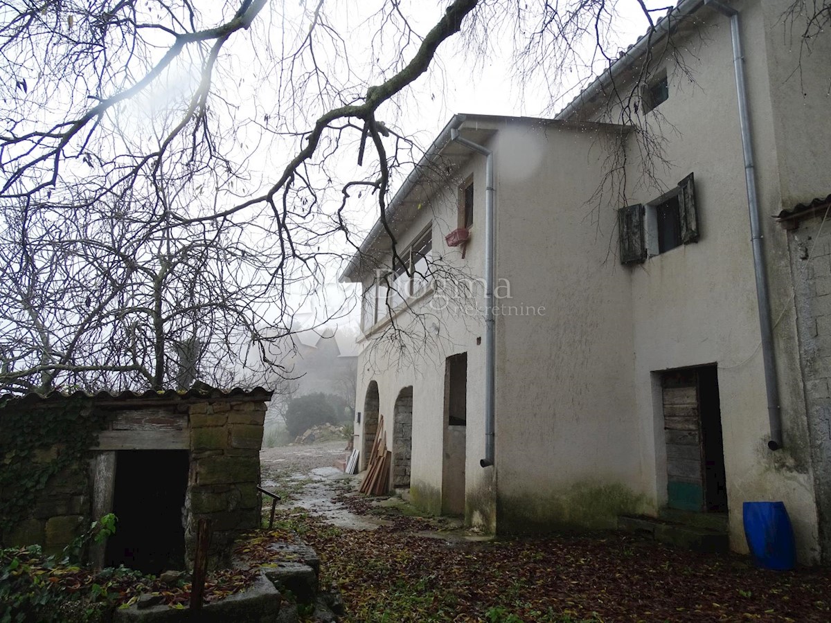 BUZET
