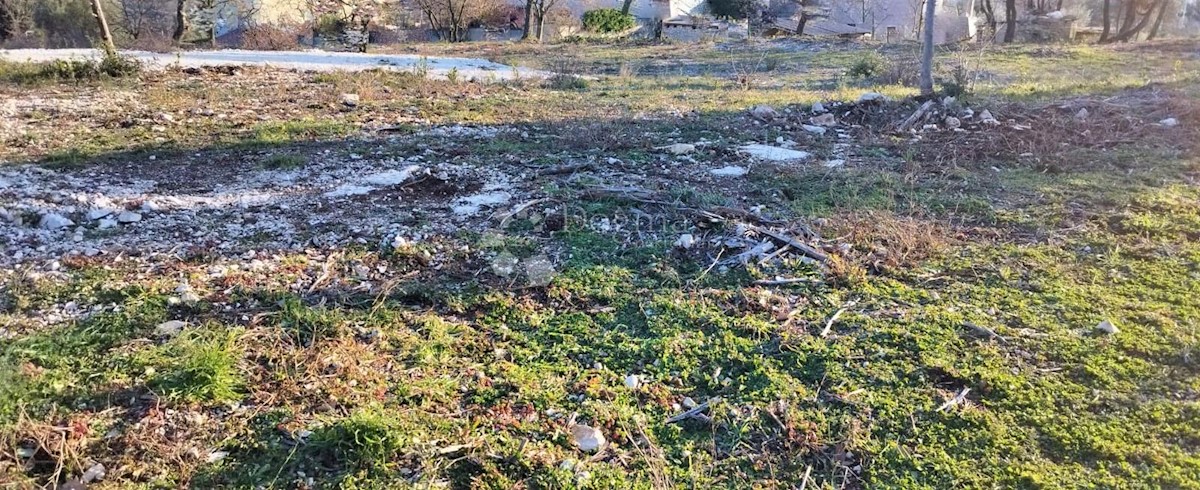 PERUŠKI