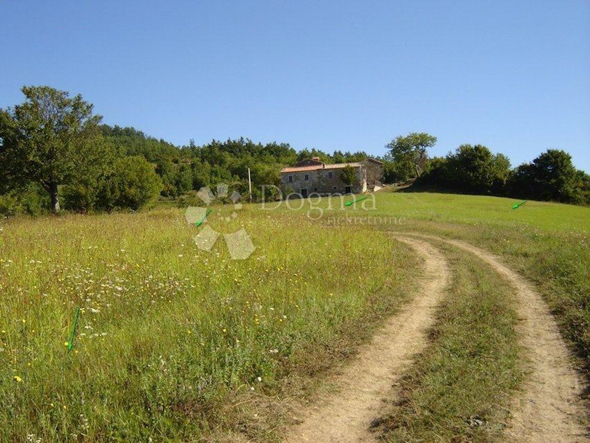 NOVAKI MOTOVUNSKI