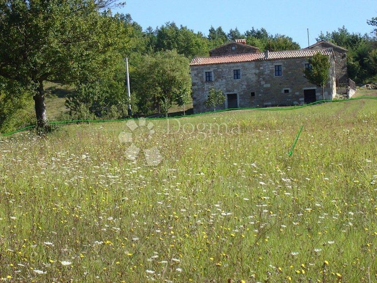 NOVAKI MOTOVUNSKI