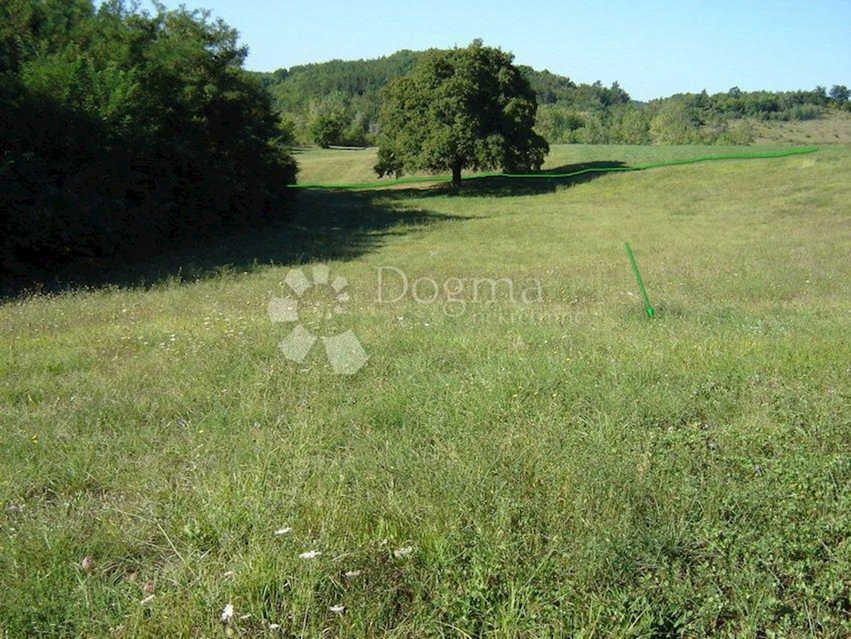 NOVAKI MOTOVUNSKI