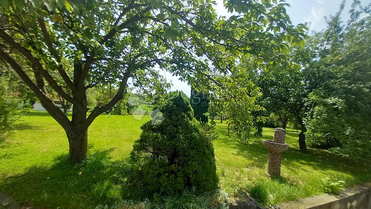 MIRKOVEC