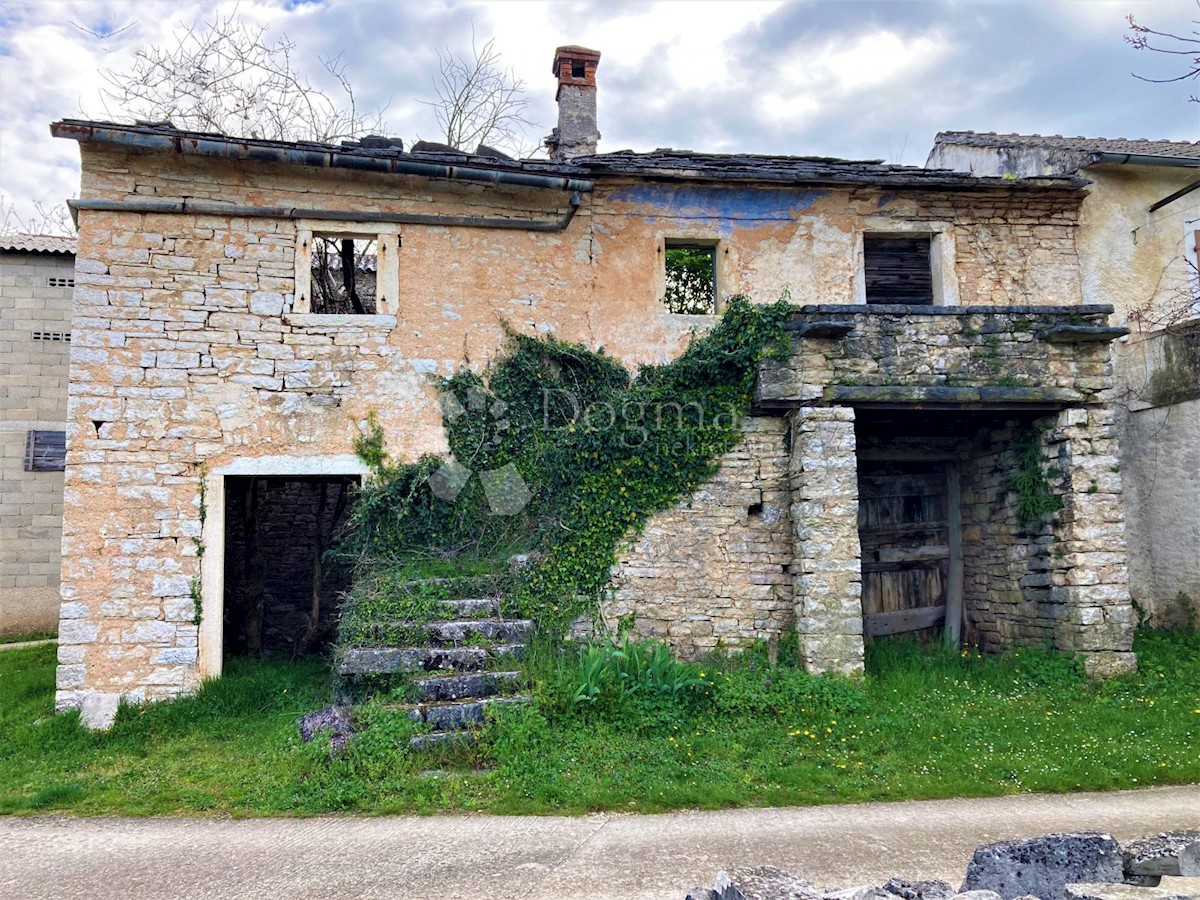 ŽMINJ