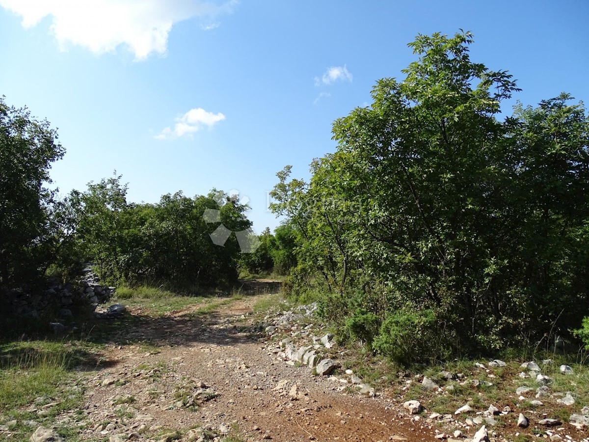 MAVRINCI