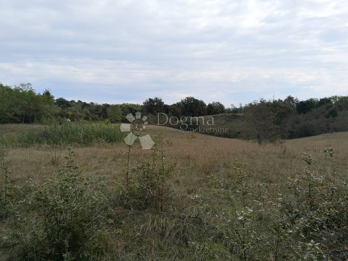 NEDEŠĆINA