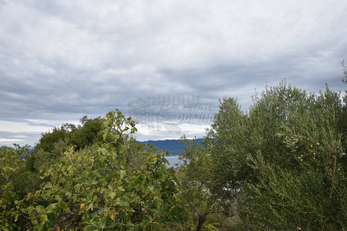VRBNIK