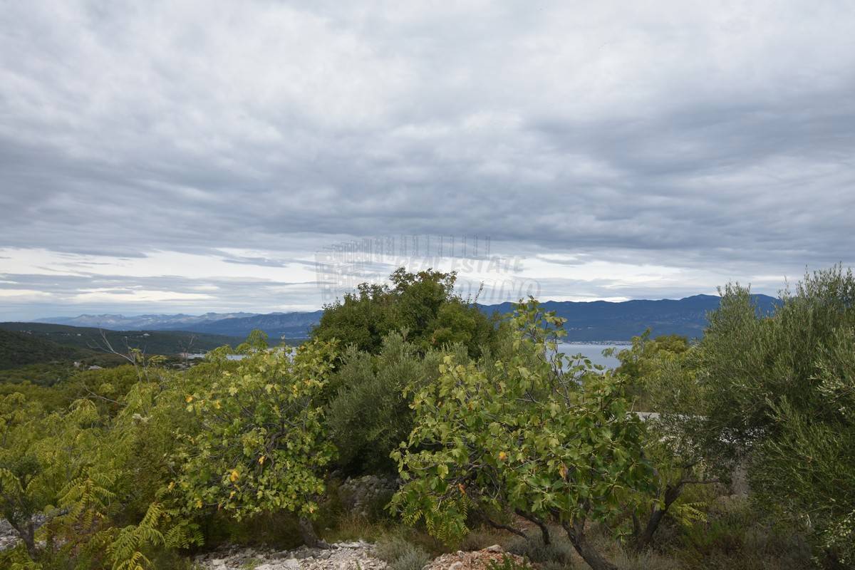 VRBNIK