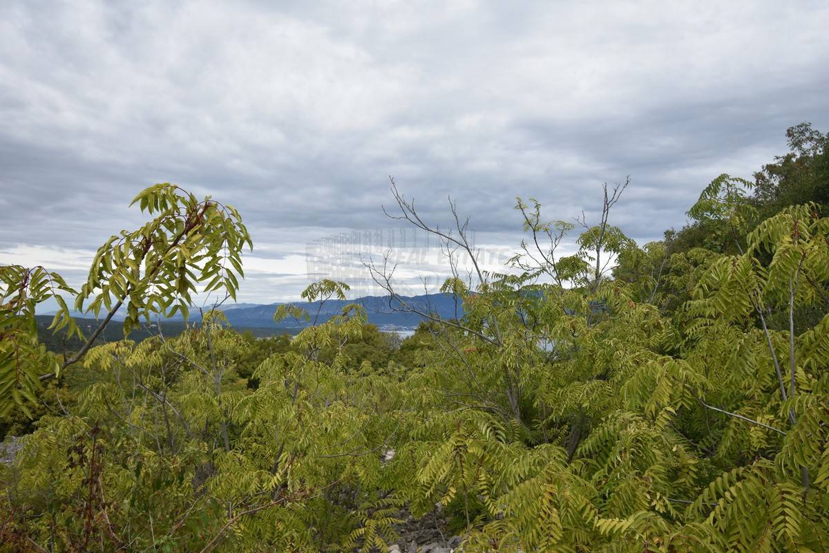 VRBNIK