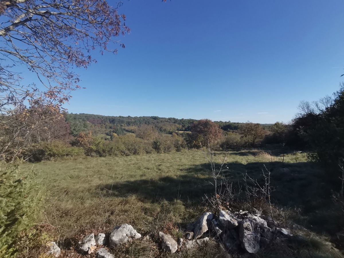 GROŽNJAN