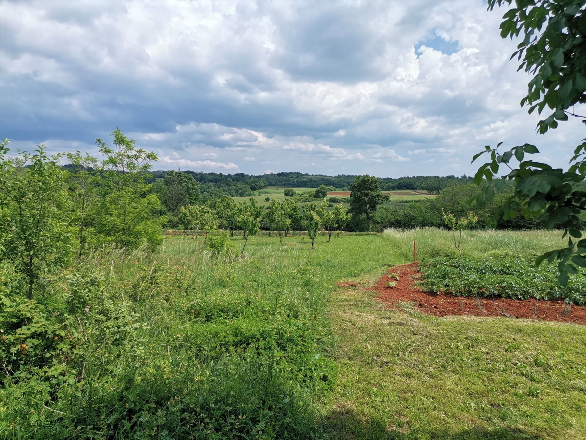 VIŽINADA